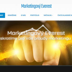 Specialisté na SEO a internetový marketing