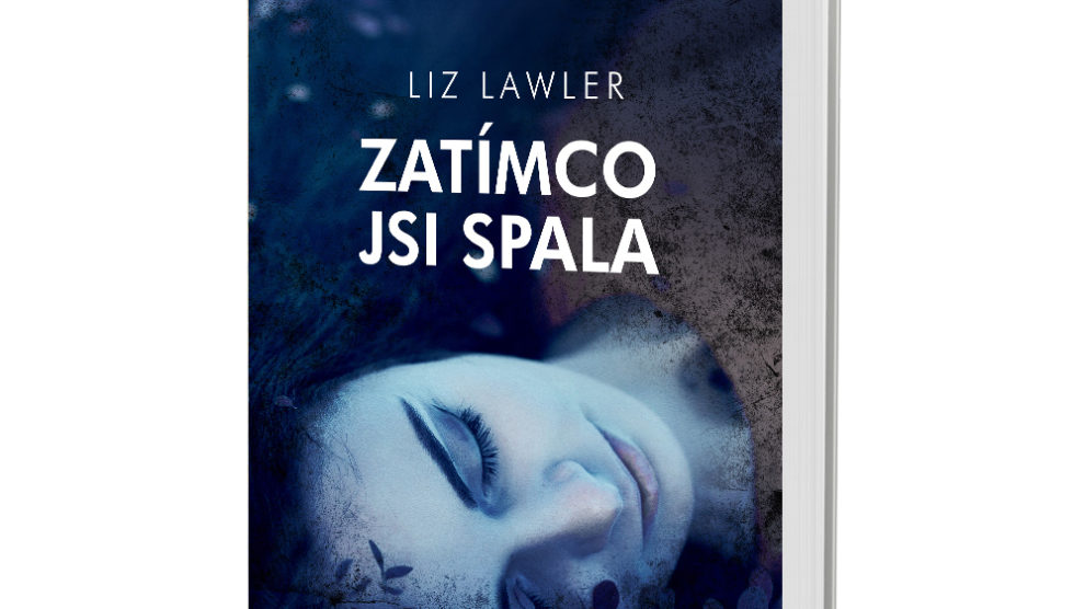 kniha-zatimco-jsi-spala Kniha Zatímco jsi spala v našem nakladatelství Alpress