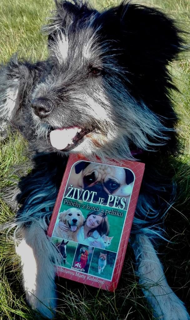 Kniha Život je pes v našem nakladatelství Alpress