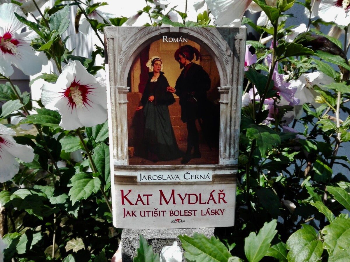 Kniha Kat Mydlář v našem nakladatelství Alpress