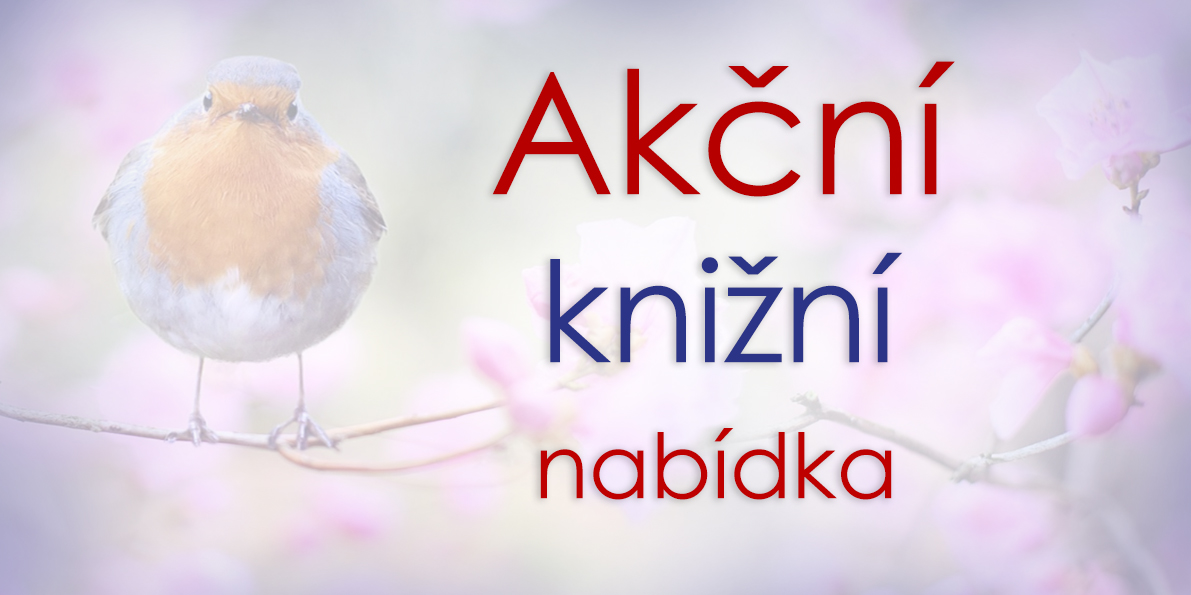 Akční nabídka