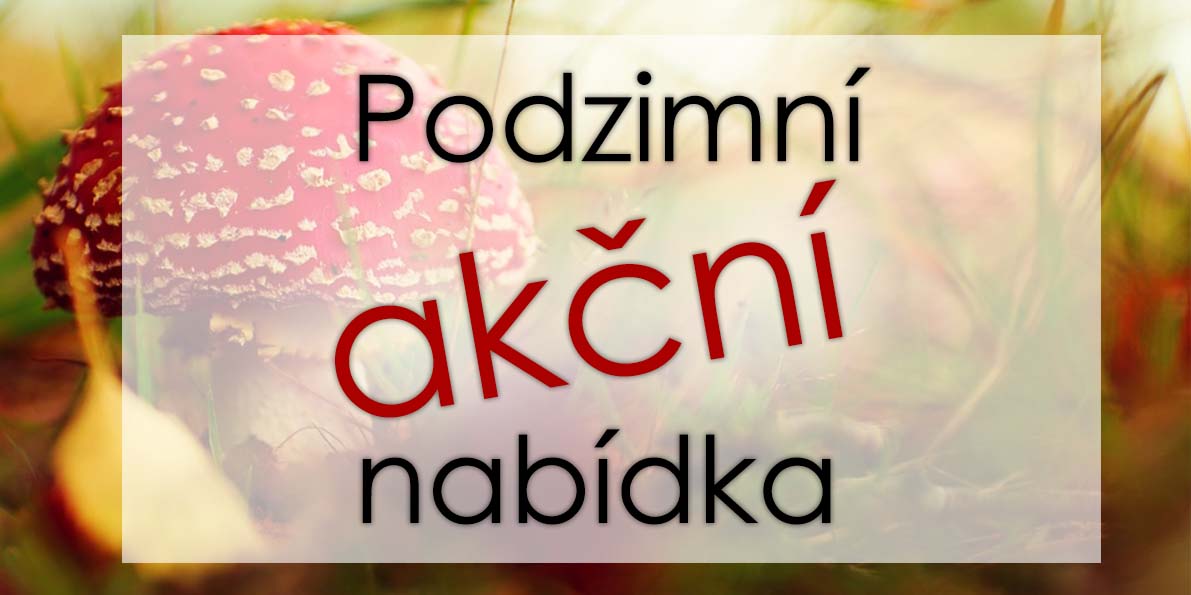 Akční nabídka
