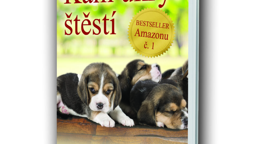 kniha-kam-ukryt-stesti Kniha Kam ukrýt štěstí v našem nakladatelství Alpress