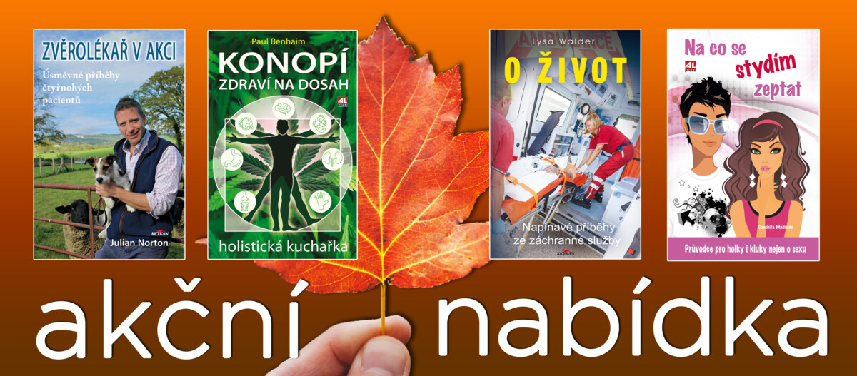 Akční nabídka