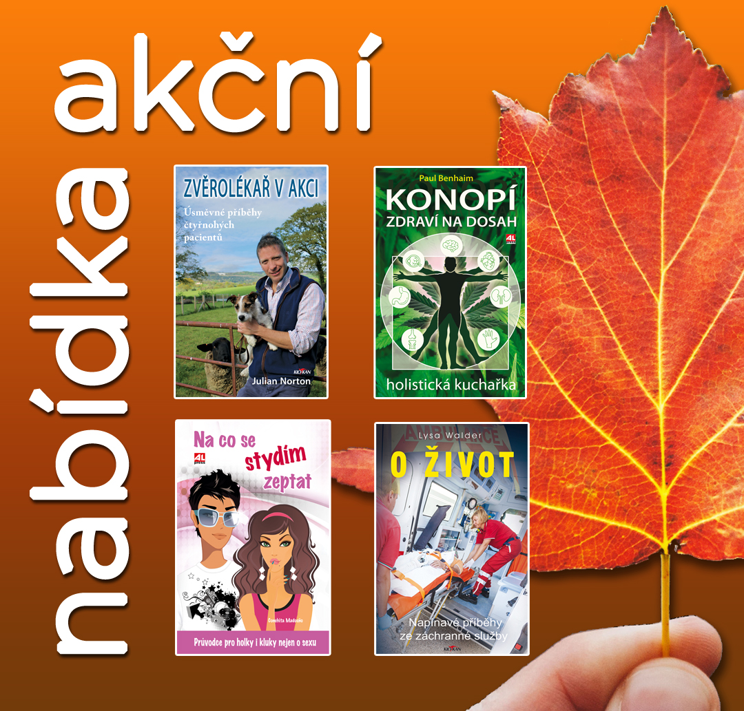 Akční nabídka