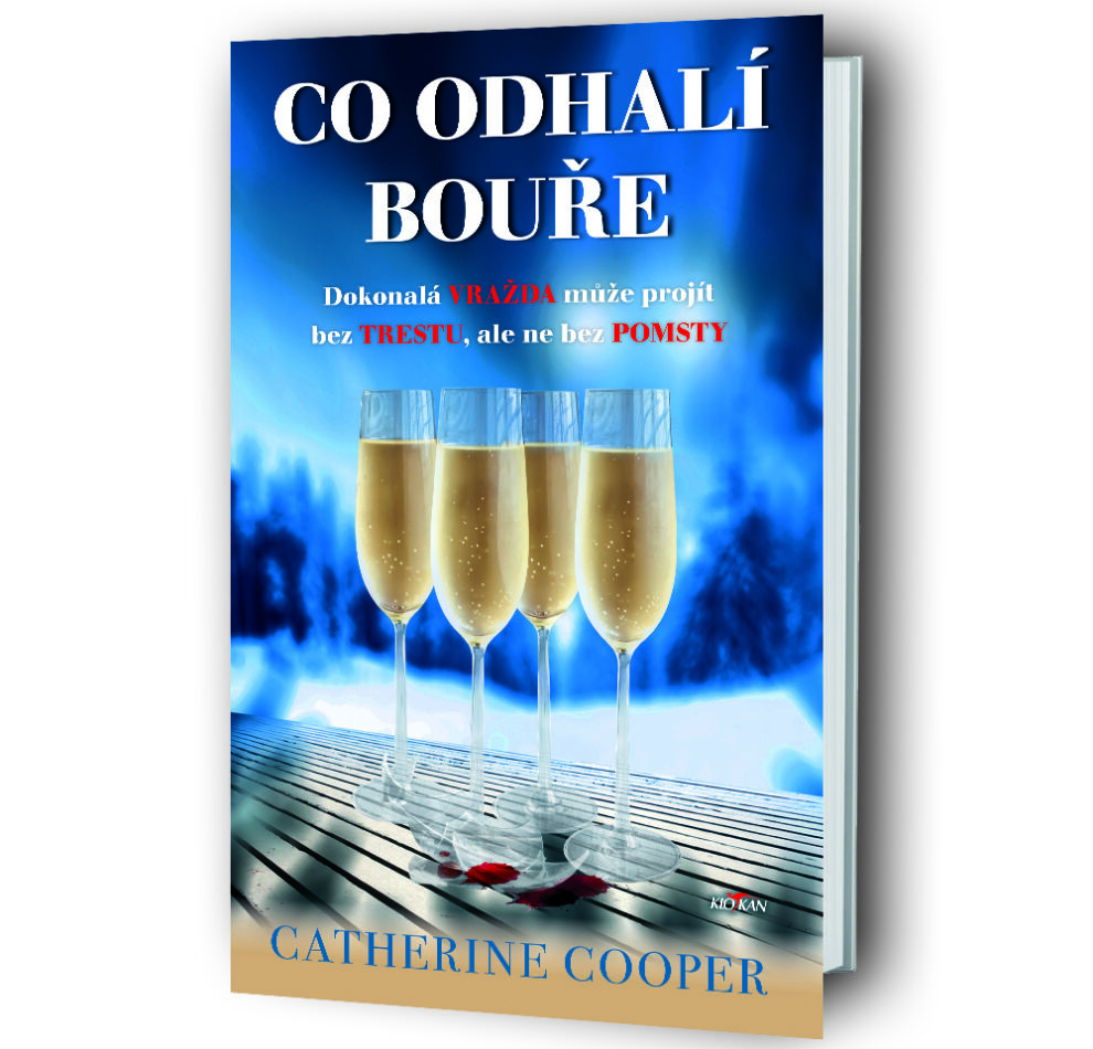 Kniha Co odhalí bouře v našem nakladatelství Alpress