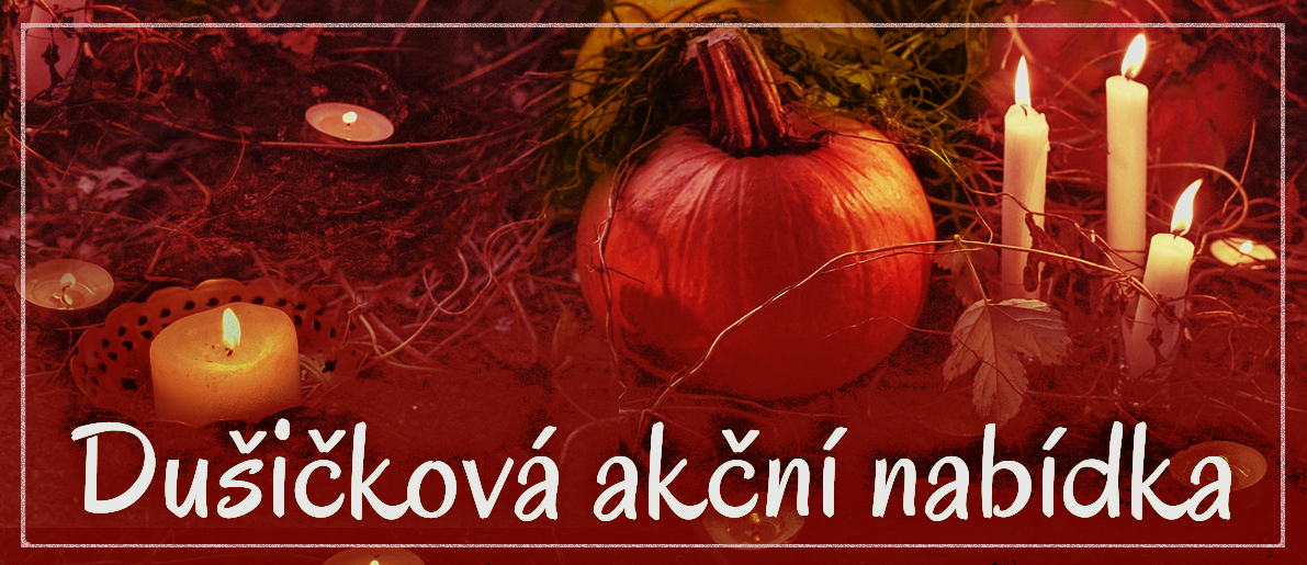 Akční nabídka
