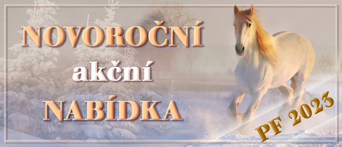 Novoroční akční nabídka