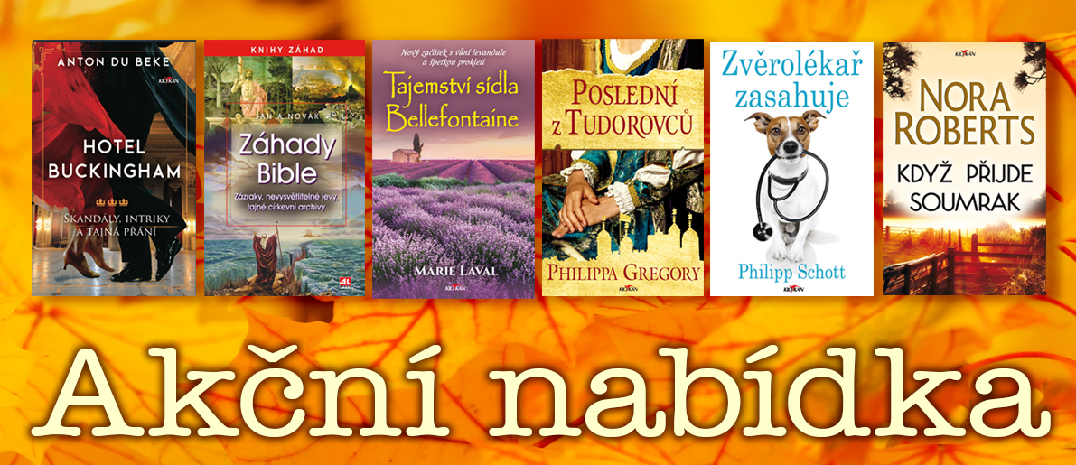 Akční nabídka