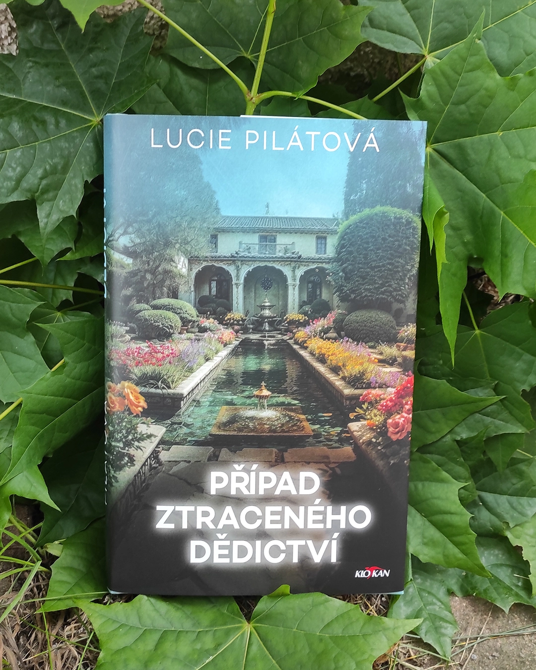 Kniha Případ ztraceného dědictví v našem nakladatelství Alpress