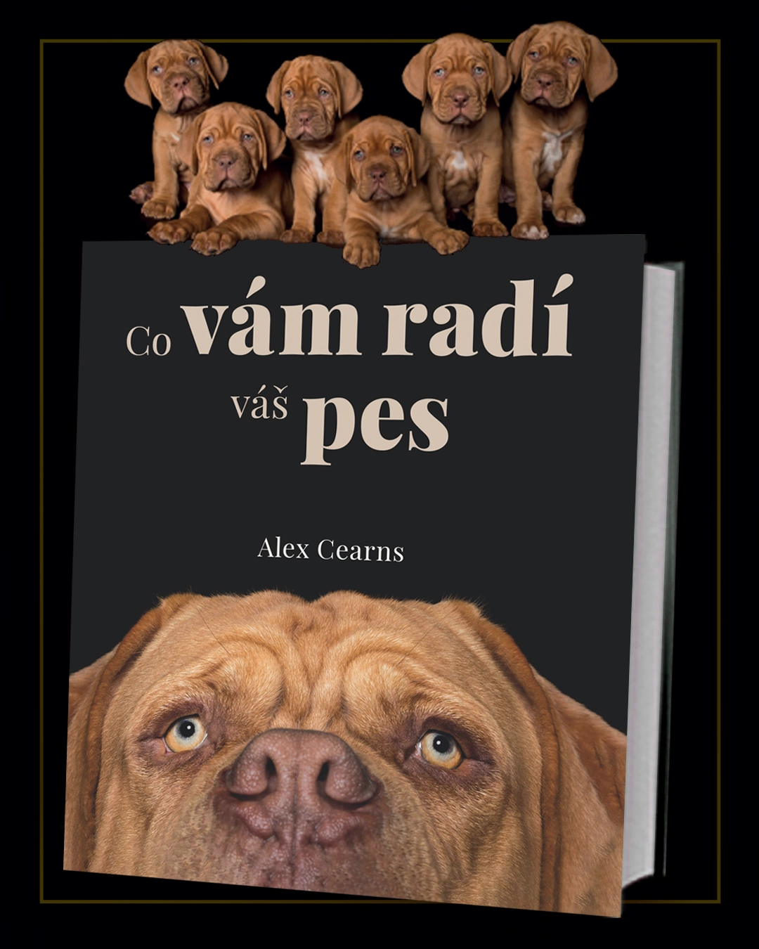 kniha-co-vam-radi-vas-pes 1080x1350 Kniha Co vám radí váš pes v našem nakladatelství Alpress