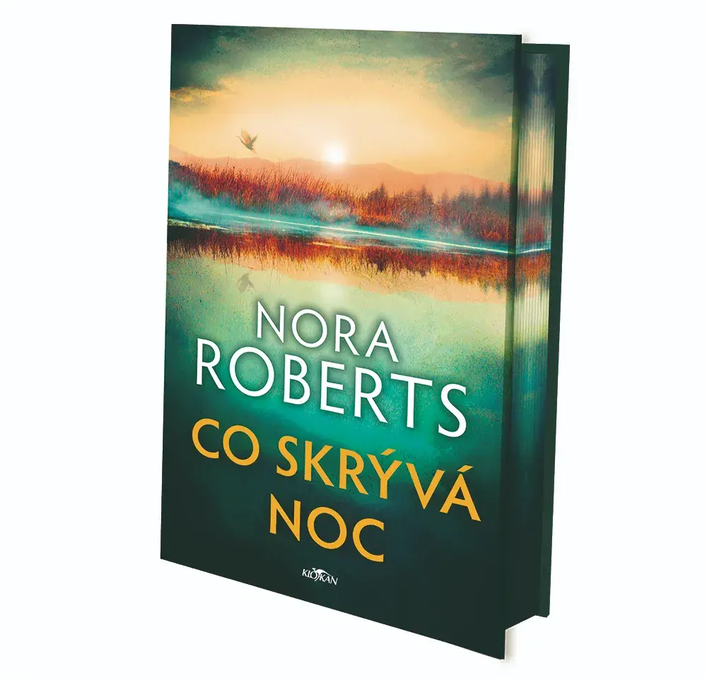 Kniha Co skrývá noc v našem nakladatelství Alpress