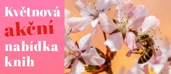 Akční nabídka