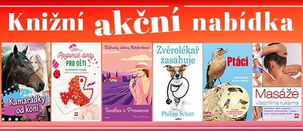 Akční nabídka
